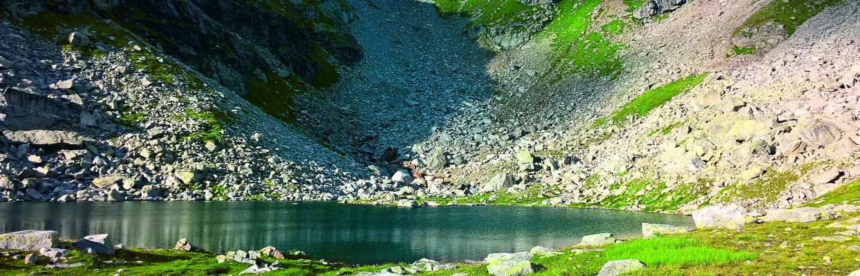 Druckstoff GmbH - WAISCH