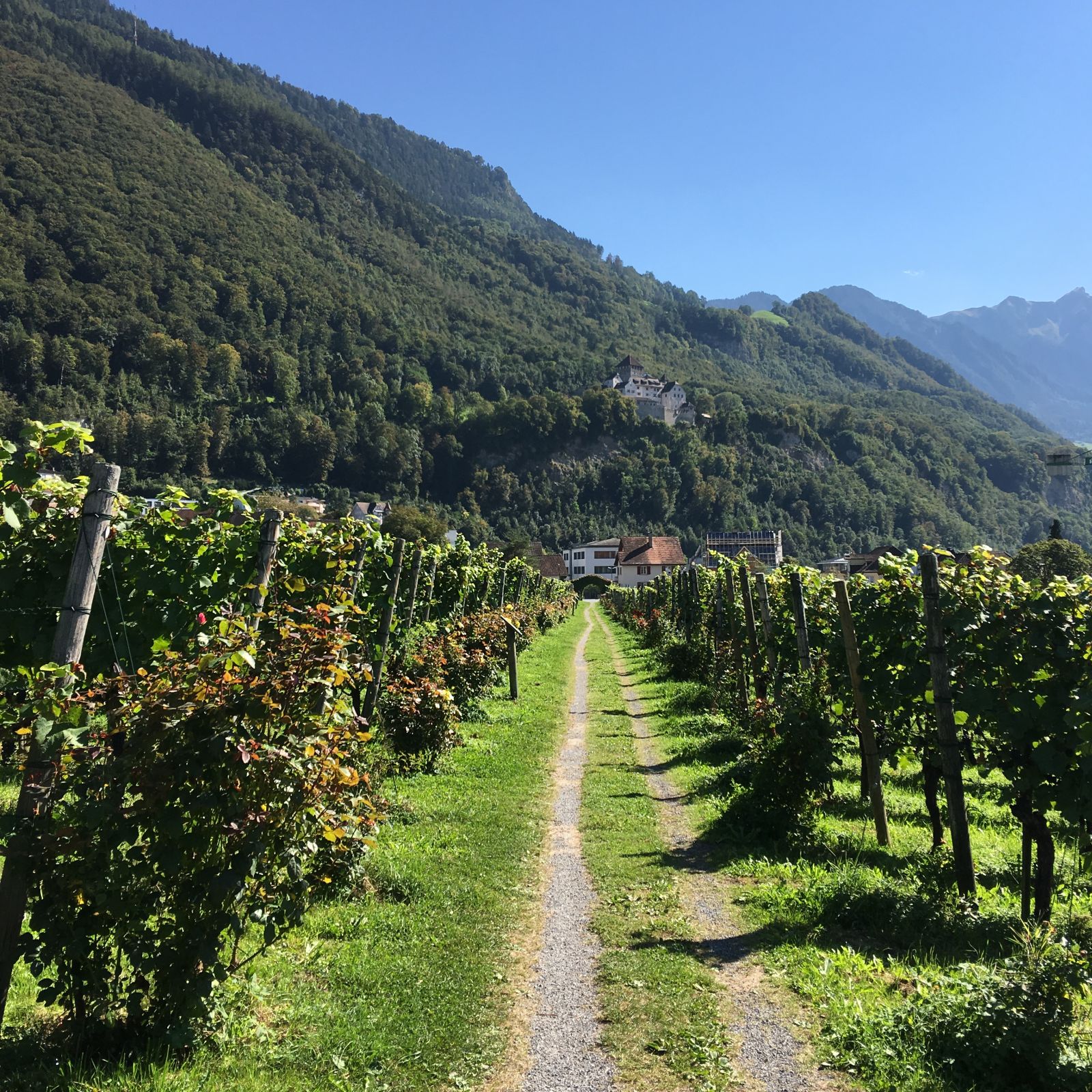 wagner.li I Agentur für kreatives Marketing und Brandpower Background