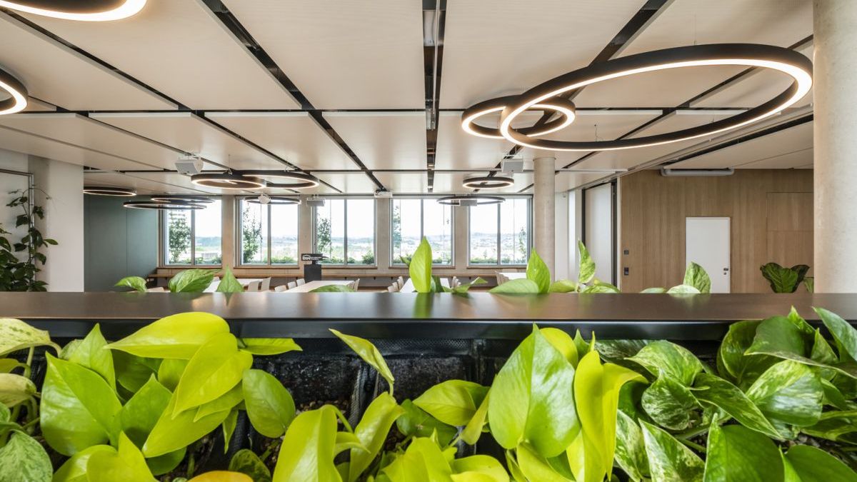 Green Building Gebäudekonzept- Nachhaltiges Raumklima für Büro und Bildung - WAiSCH