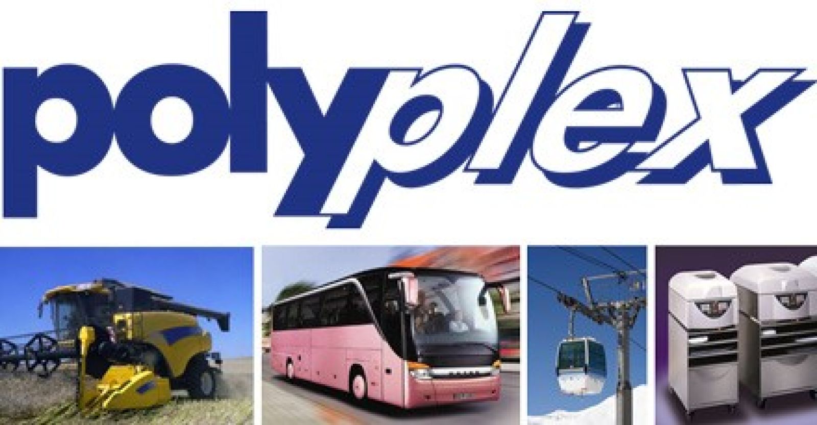 Polyplex AG Background