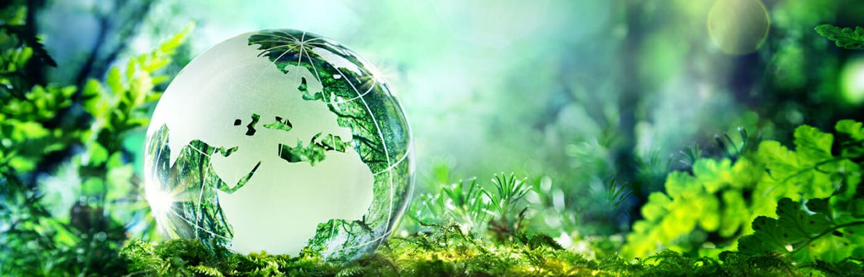 Rüegg Media AG - WAISCH