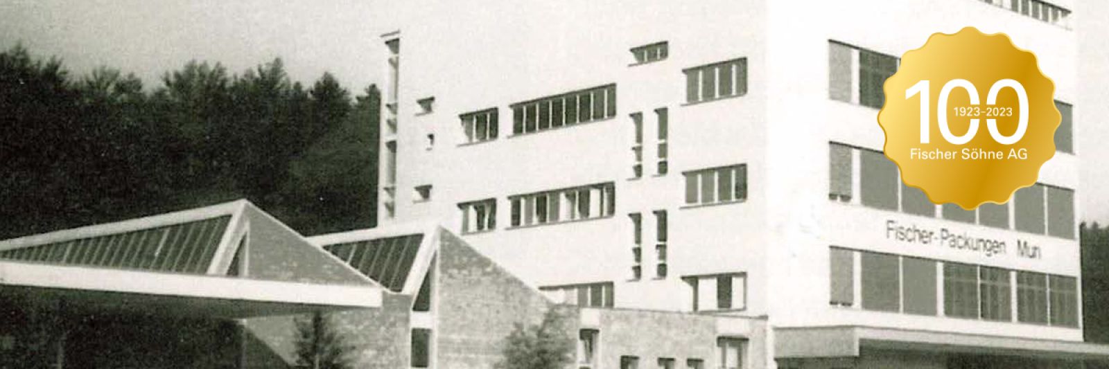 Fischer Söhne AG - WAISCH