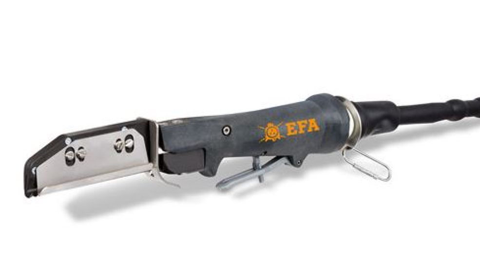 EFA__Darmfreischneider__S5L - WAiSCH