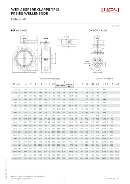 TF13 mit freiem Wellenende