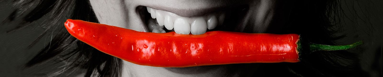 zanderconcept  –  medienkonzeption + gestaltung Background