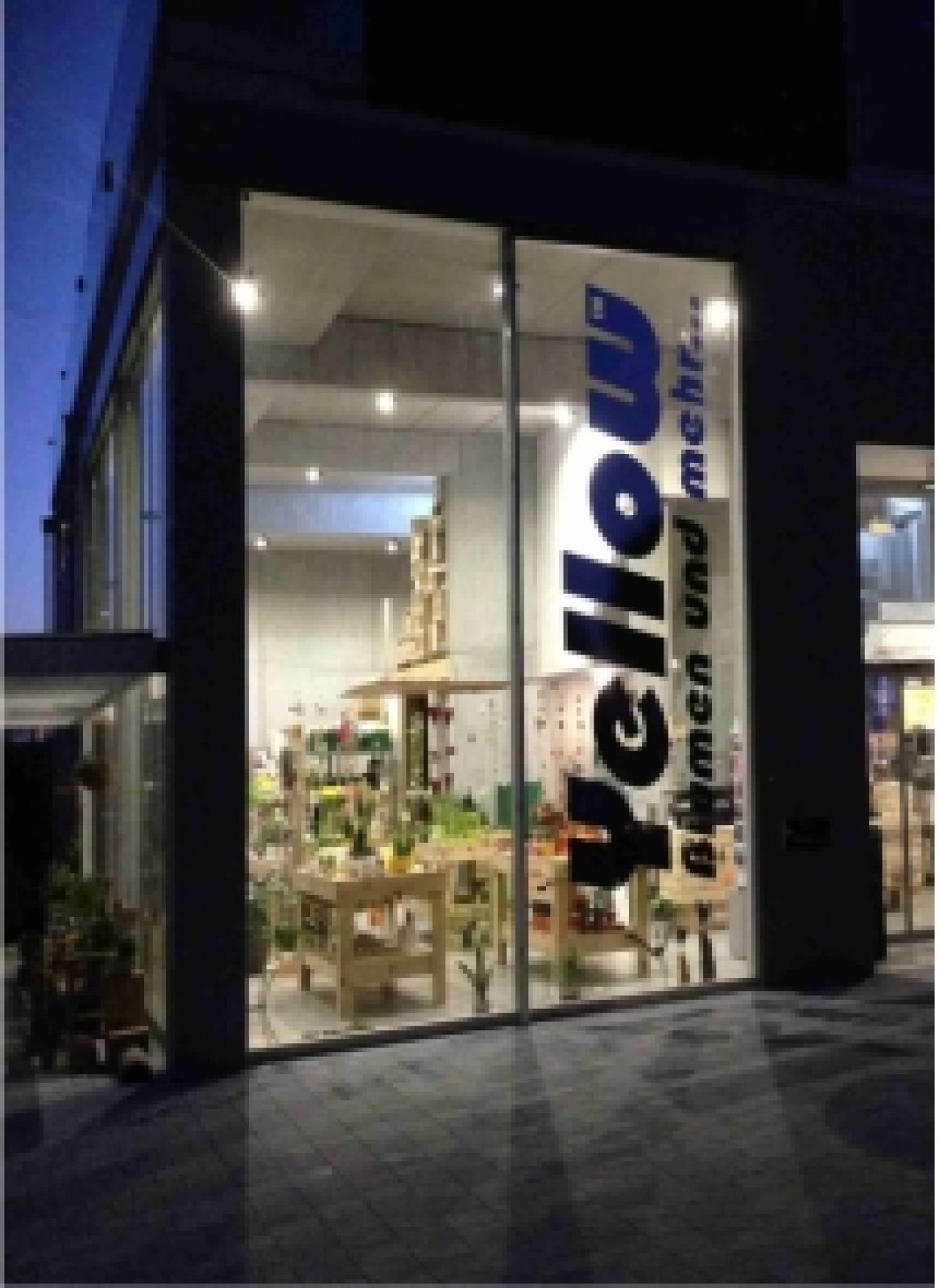 Yellowblumen und Imkerei - WAISCH