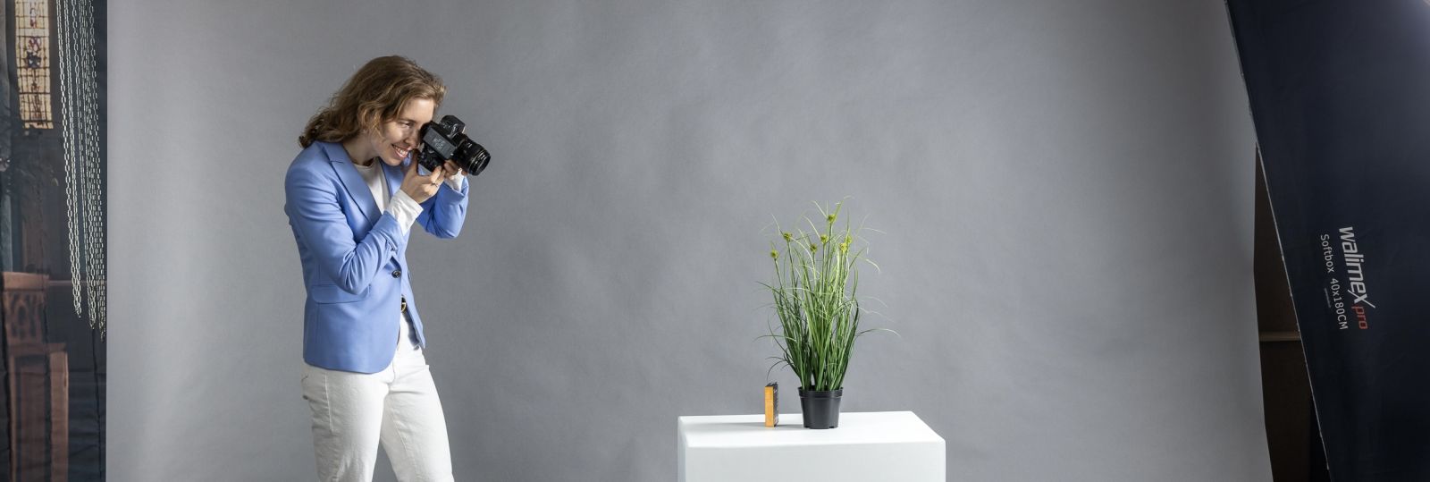 Diana Kottmann GmbH Background