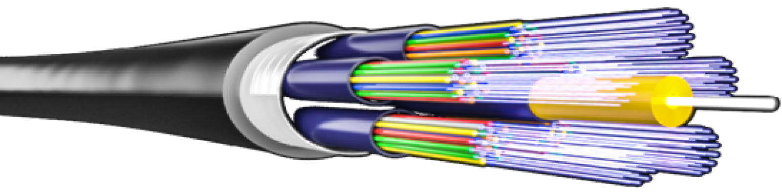 New G & B Fiberoptics AG - WAISCH