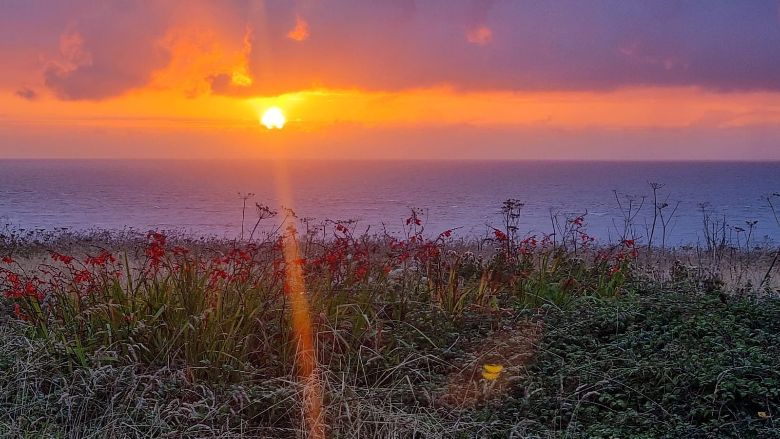 imoriam GmbH - WAISCH