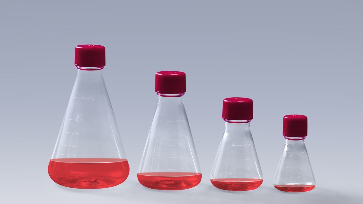 Erlenmeyer Shake Flask for Suspension Cell Culture - WAiSCH