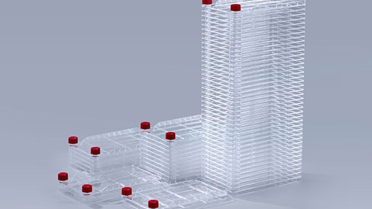 Scaling Up Cell Culture: From Flask to Cell Factory - WAiSCH