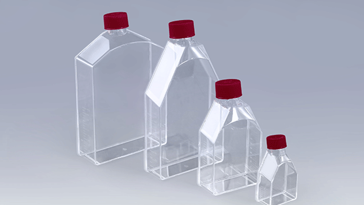 Quality Control Tests for Cell Culture Flasks - WAiSCH
