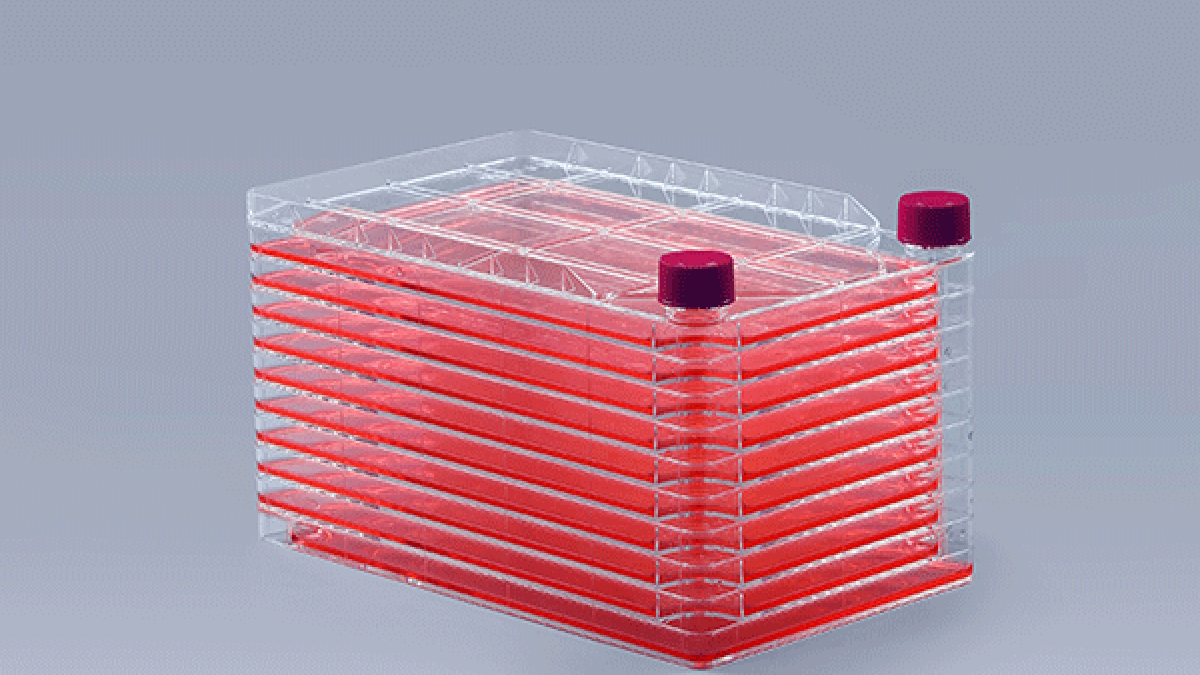 Cell Factory Seeding Density: A Key Technical Parameter in Scalable Cell Culture - WAiSCH