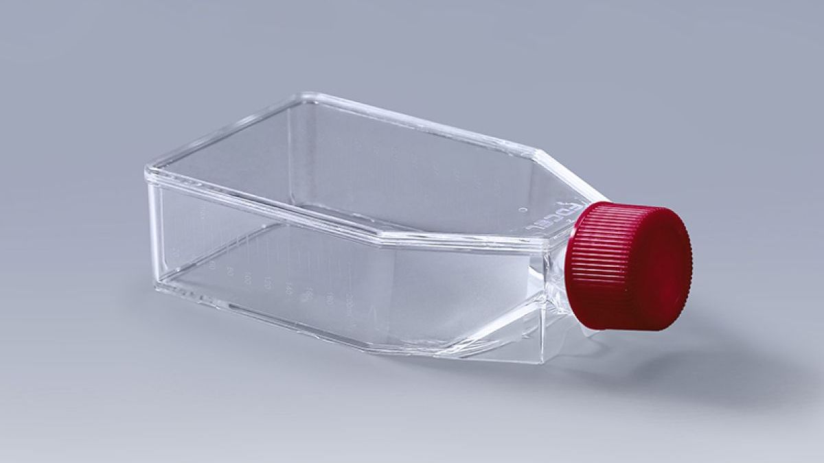 Sterility and QC Standards for Cell Flasks - WAiSCH