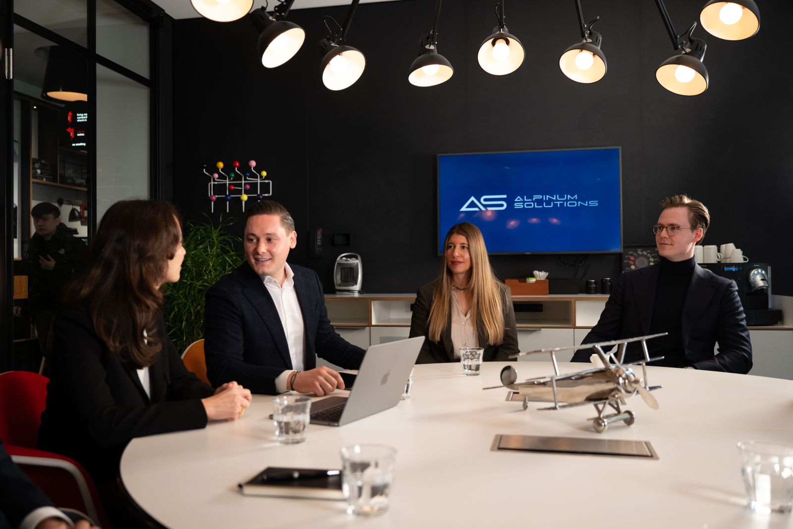 Alpinum Solutions AG Background