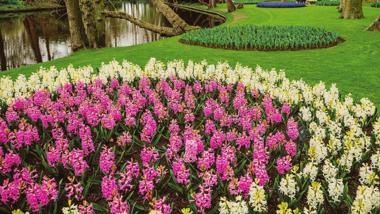 Lutz Gärten & Schwimmbäder GmbH - WAiSCH