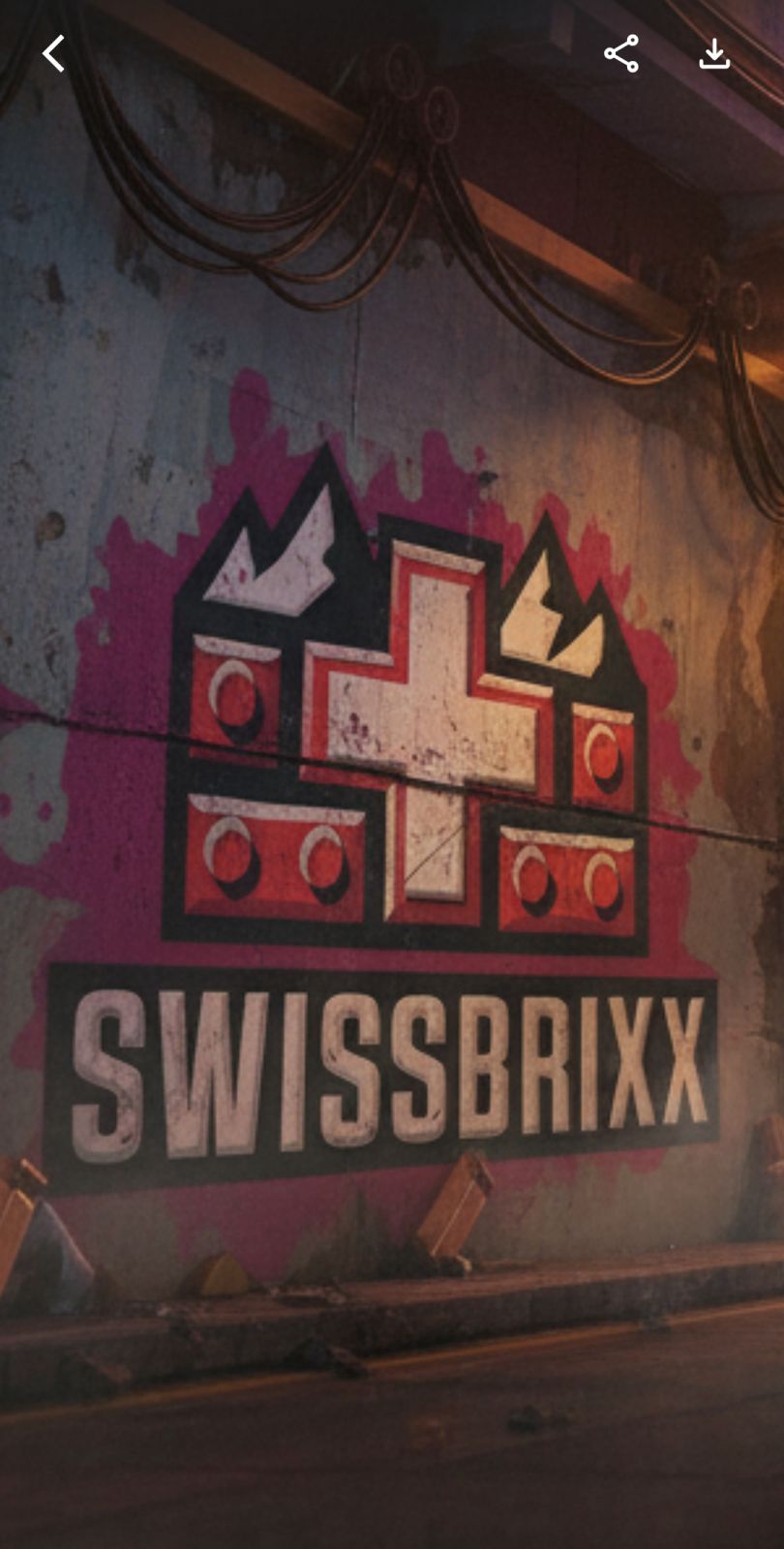 Swissbrixx Background