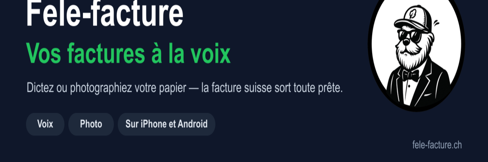 Fele-facture Background