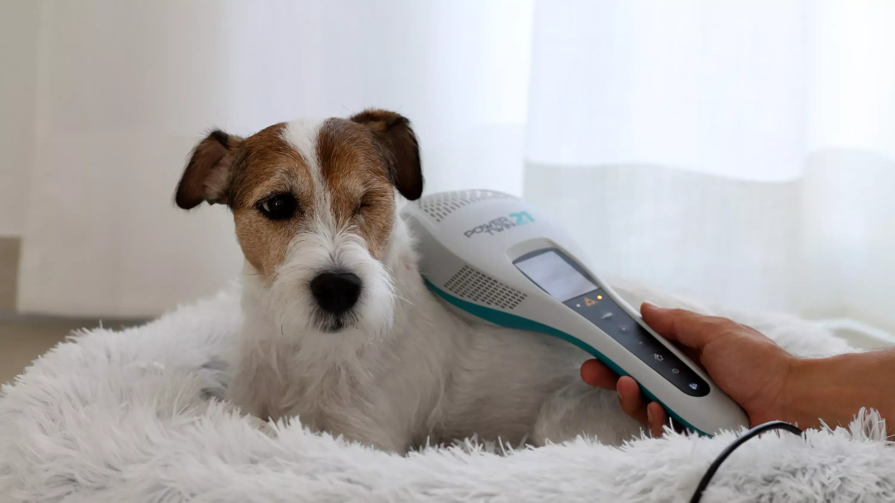 Lasertherapie bei schmerzhaften Verknöcherungen der Wirbelsäule