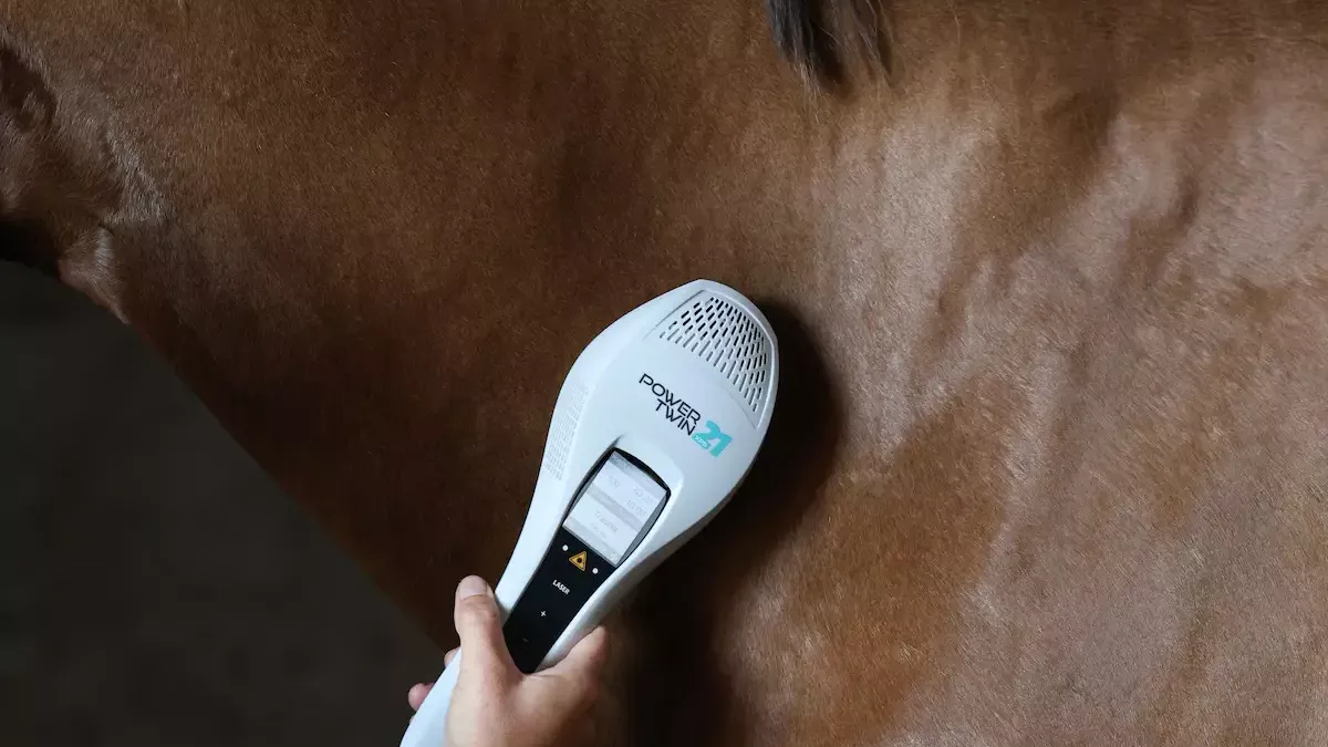 Lasertherapie bei chronischen Gelenkveränderungen der Halswirbelsäule