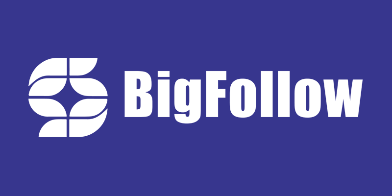 BigFollow
