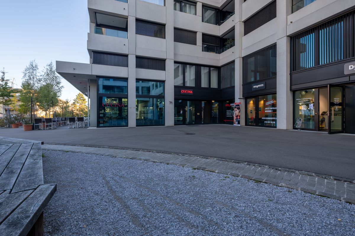 Iron Bodyfit Zürich Altstetten