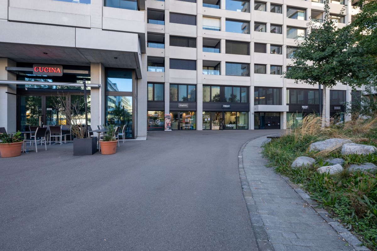 Iron Bodyfit Zürich Altstetten