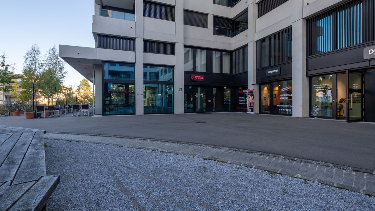 Iron Bodyfit Altstetten (Zürich)